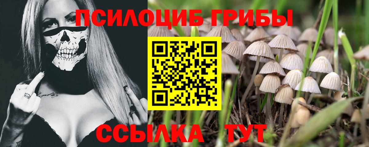 Осинники  Псилоцибиновые грибы ЛСД  даркнет сайт  Вход с VPN 
